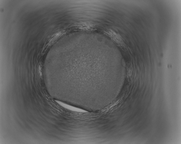 X0000085831106200703301612