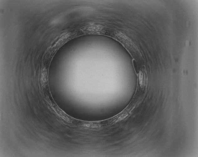 X0000085831107200703301612