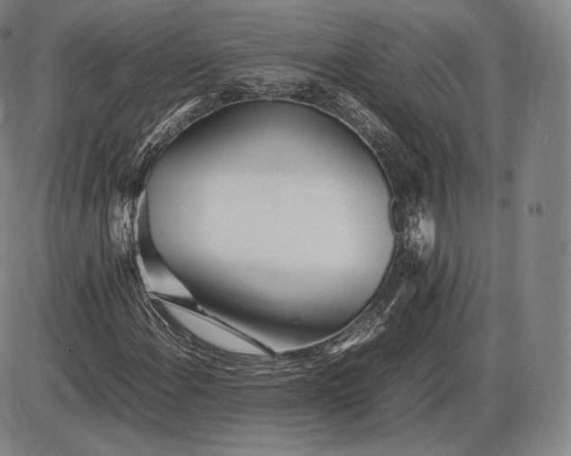 X0000085831108200703301612