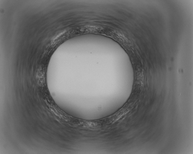 X0000085831109200703301612