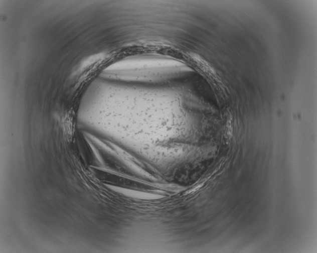 X0000085831110200703301612