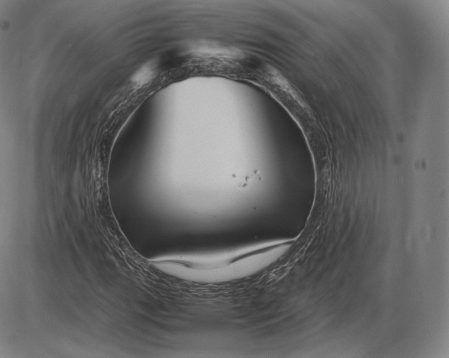 X0000085831111200703301612