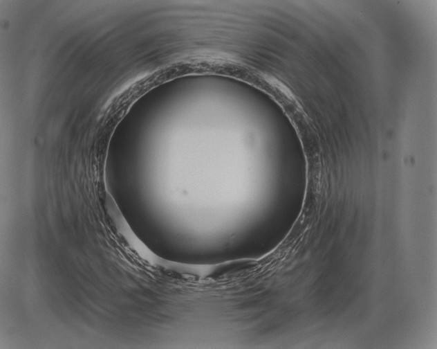 X0000085831112200703301612