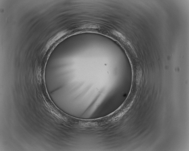 X0000085831113200703301612