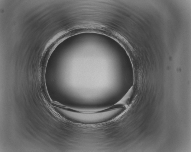 X0000085831114200703301612