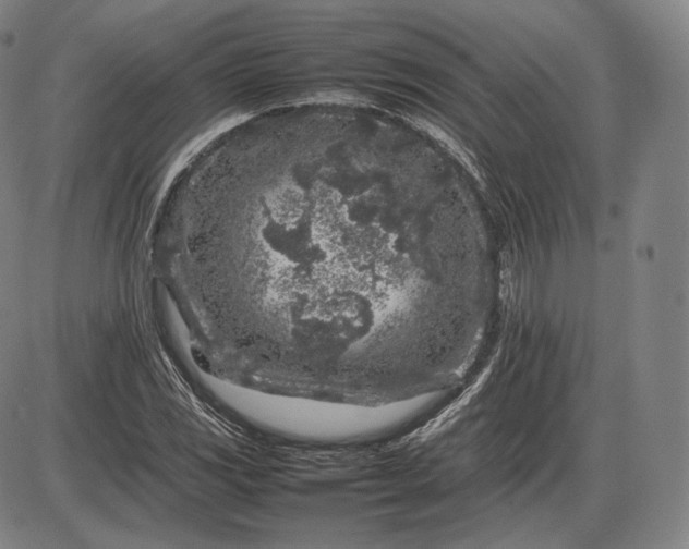 X0000085831117200703301612