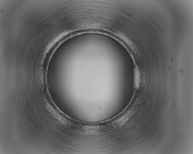 X0000085831118200703301612