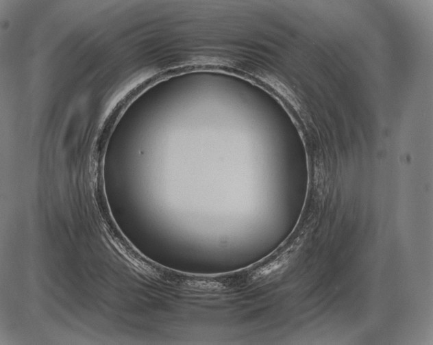 X0000085831119200703301612