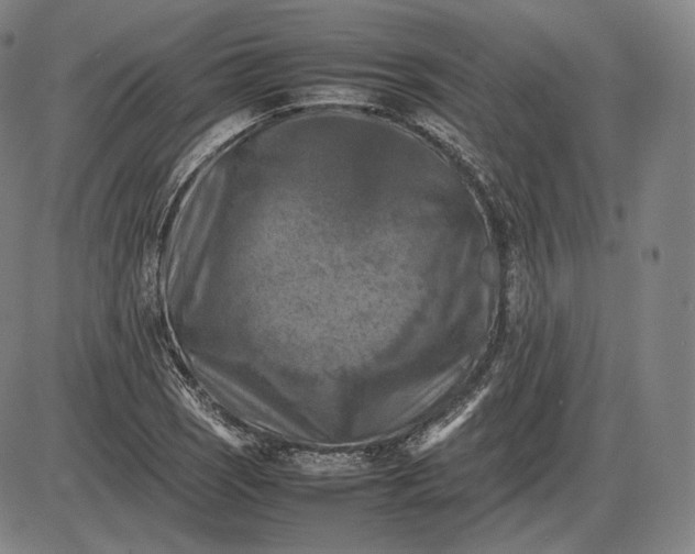 X0000085831121200703301612