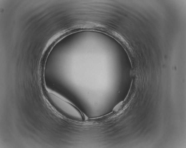 X0000085831122200703301612