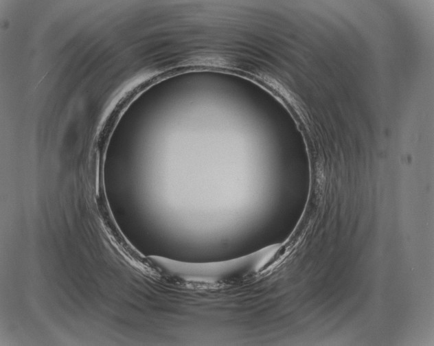 X0000085831123200703301612