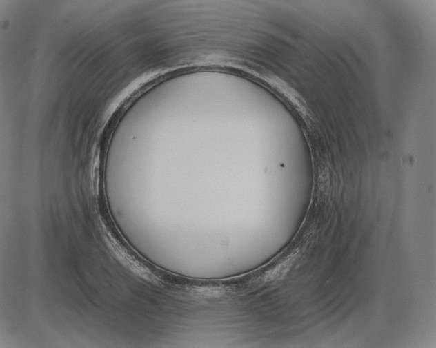 X0000085831126200703301612