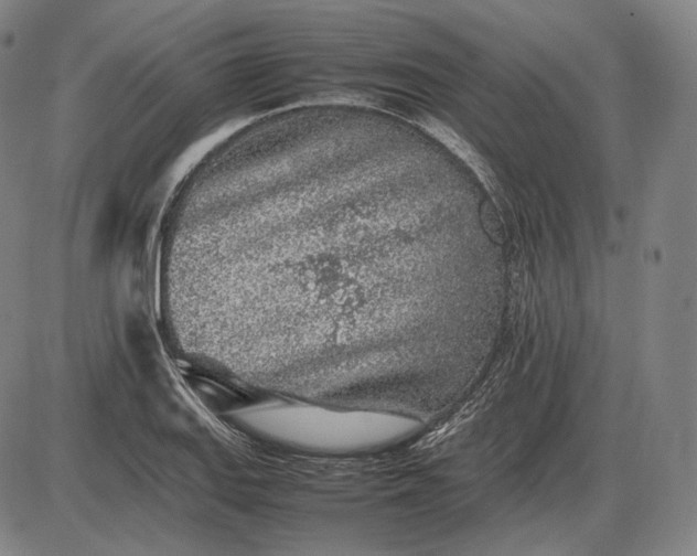 X0000085831127200703301612