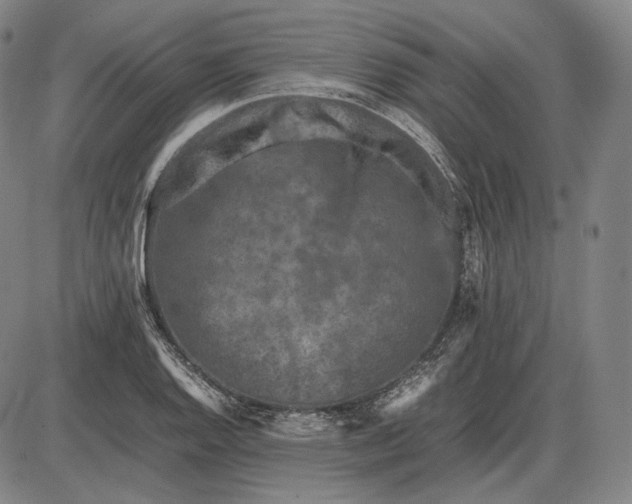 X0000085831128200703301612