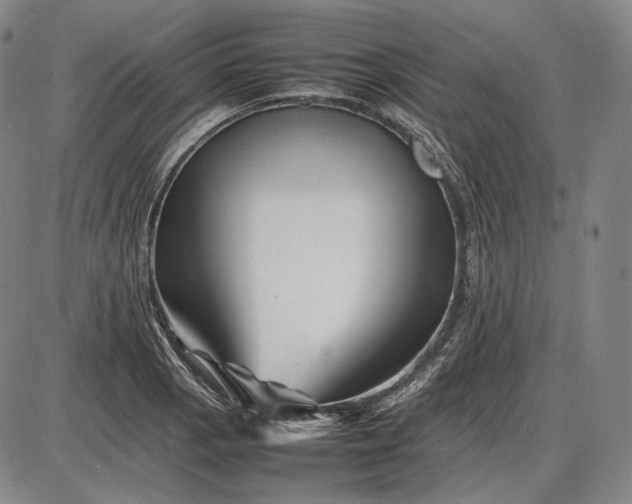 X0000085831129200703301612