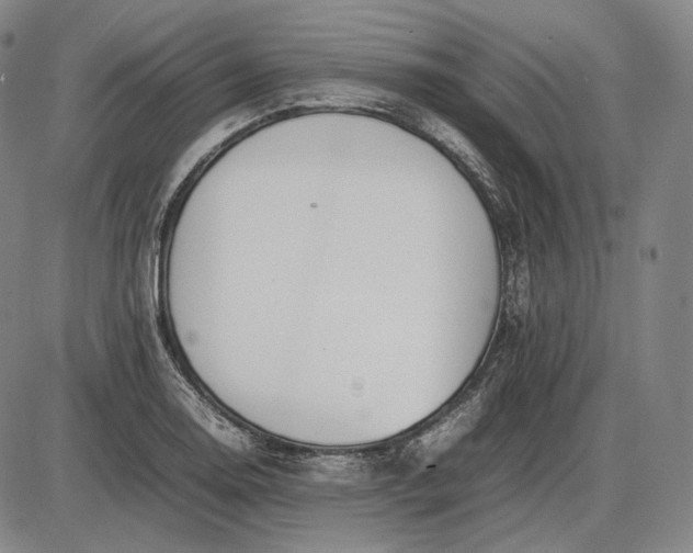 X0000085831130200703301612