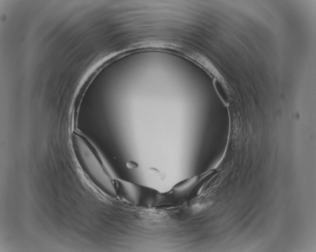 X0000085831132200703301612