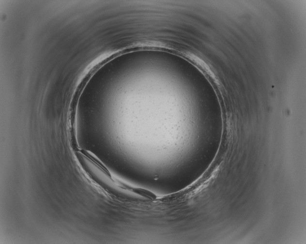 X0000085831133200703301612