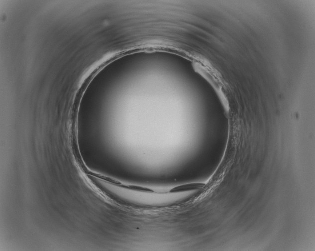 X0000085831134200703301612