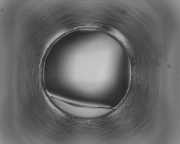 X0000085831135200703301612