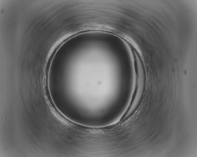 X0000085831136200703301612