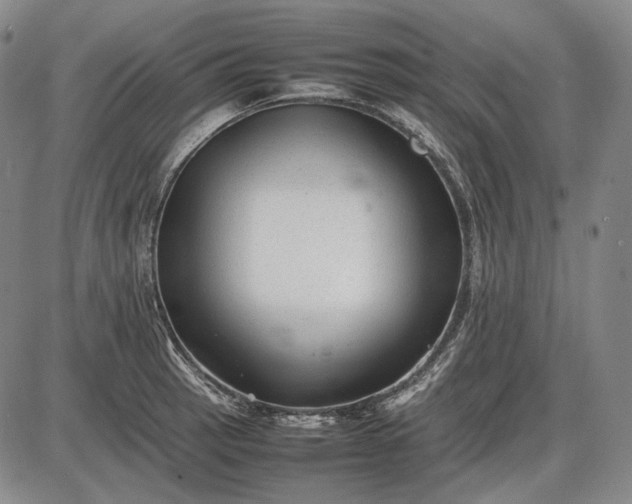 X0000085831137200703301612