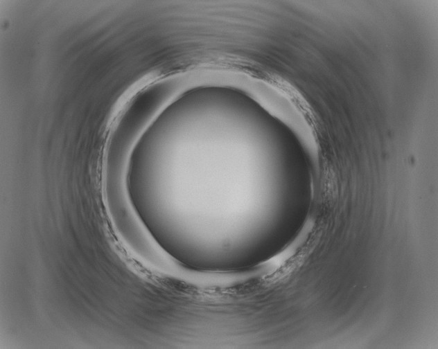 X0000085831138200703301612