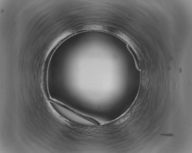 X0000085831139200703301612