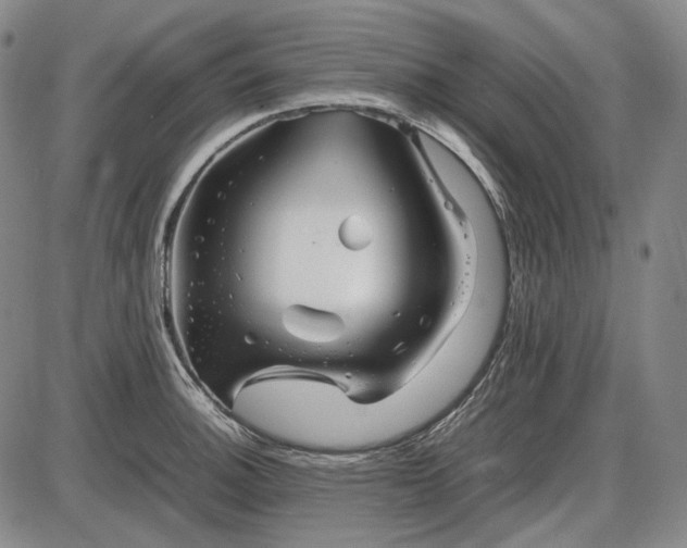 X0000085831140200703301612