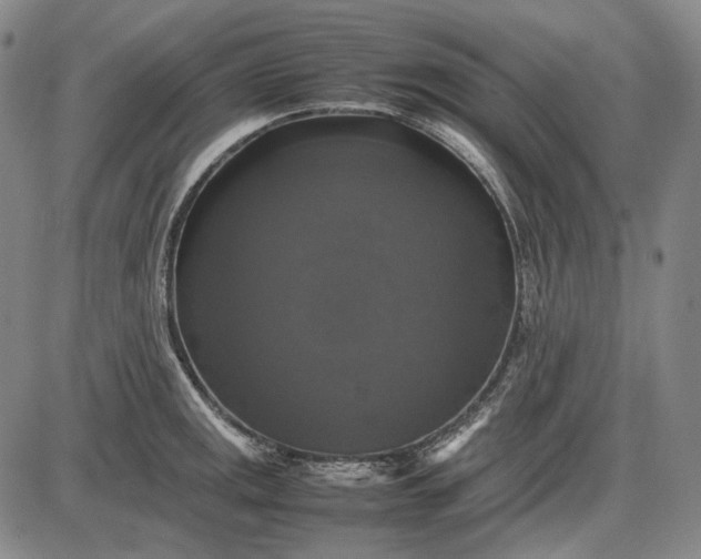 X0000085831141200703301612