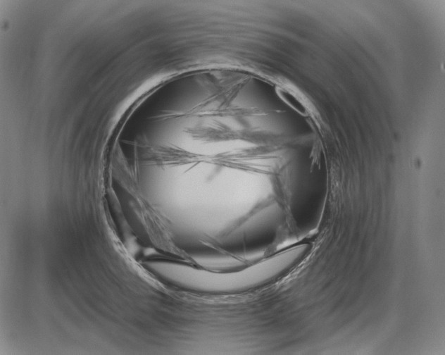 X0000085831142200703301612