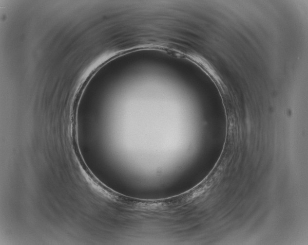 X0000085831143200703301612