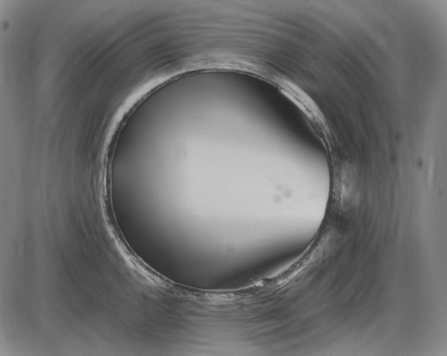 X0000085831144200703301612