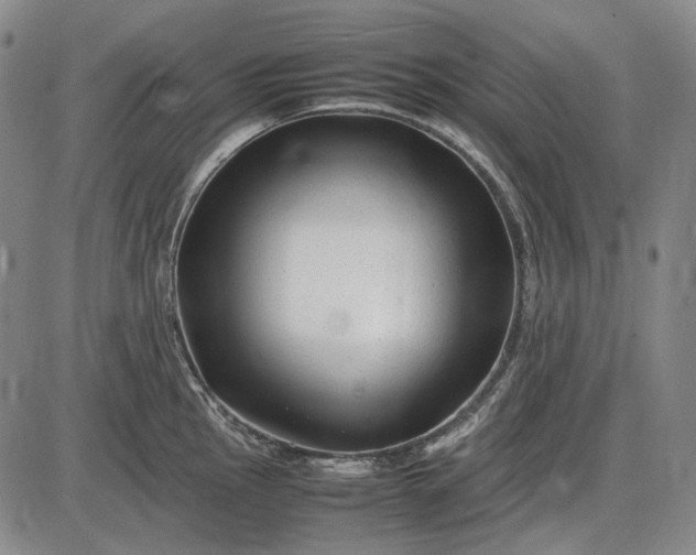 X0000085831145200703301612