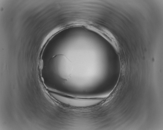 X0000085831146200703301612