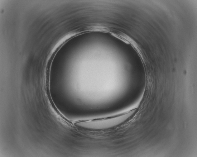 X0000085831147200703301613