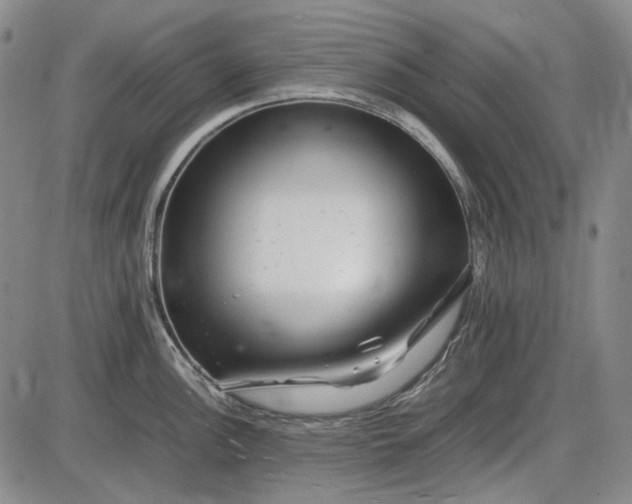 X0000085831148200703301613