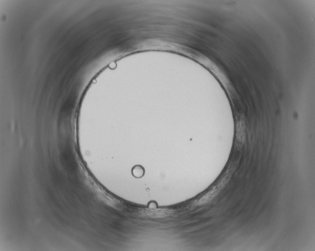 X0000085831150200703301613