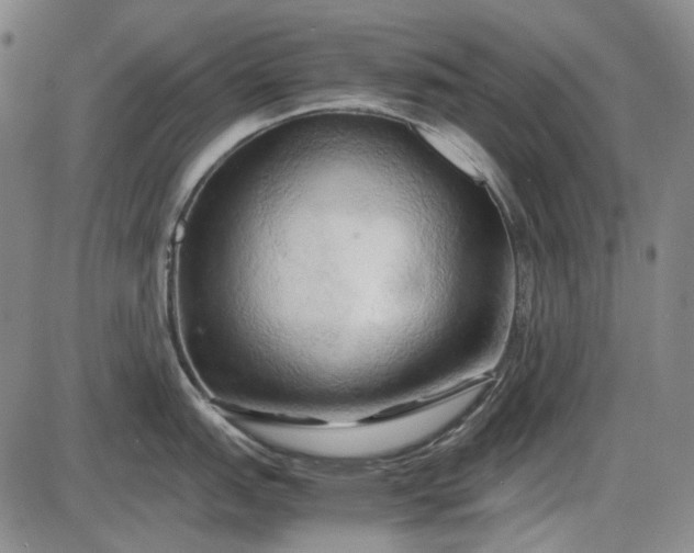 X0000085831151200703301613