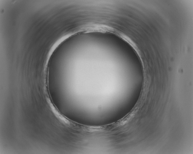 X0000085831152200703301613