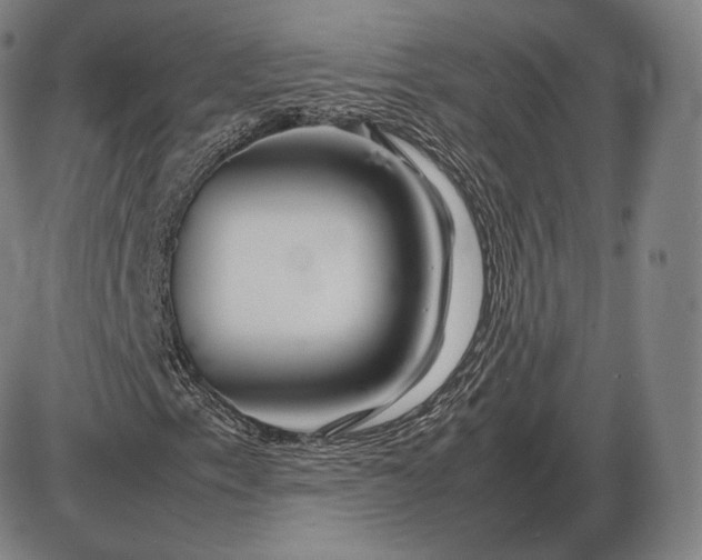 X0000085831153200703301612