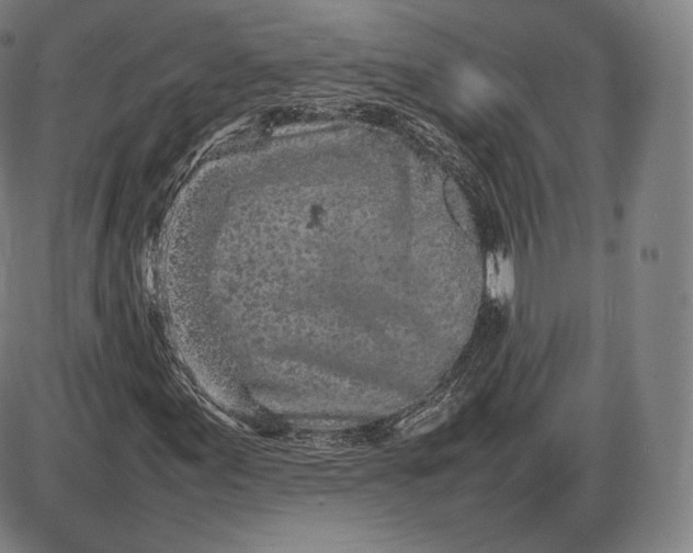 X0000085831155200703301612