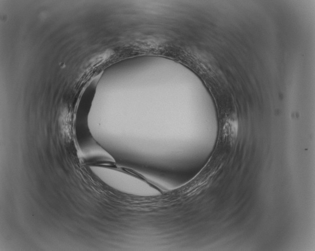 X0000085831156200703301612