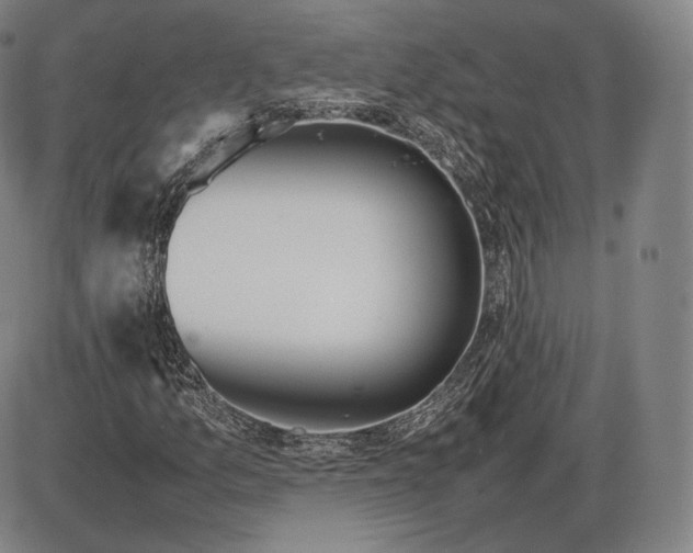 X0000085831157200703301612