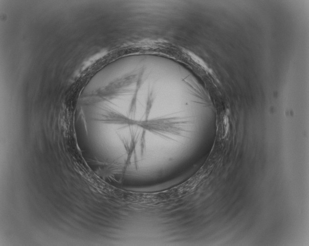 X0000085831158200703301612