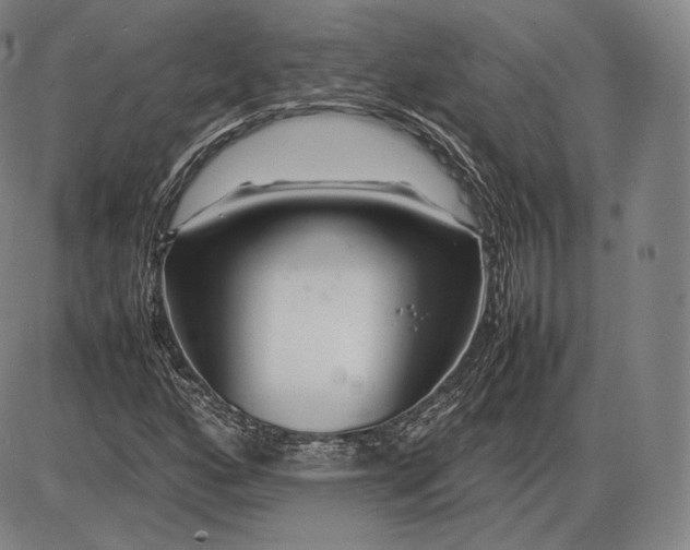 X0000085831160200703301612