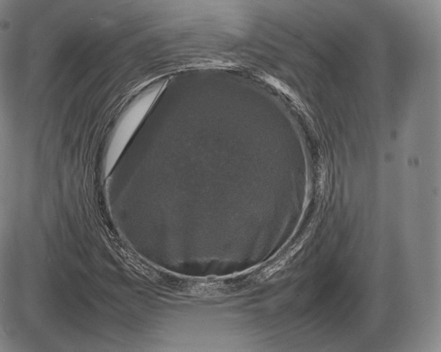 X0000085831161200703301612