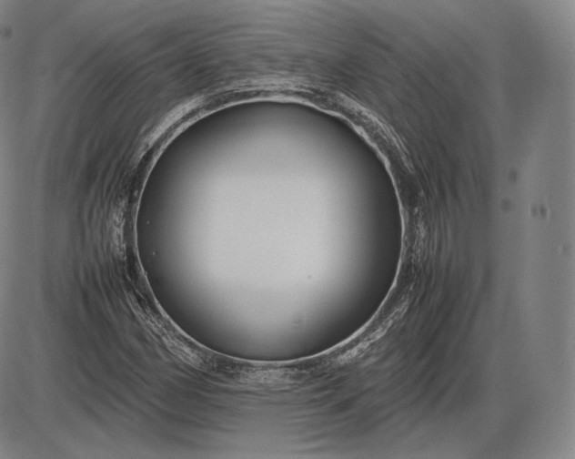 X0000085831162200703301612