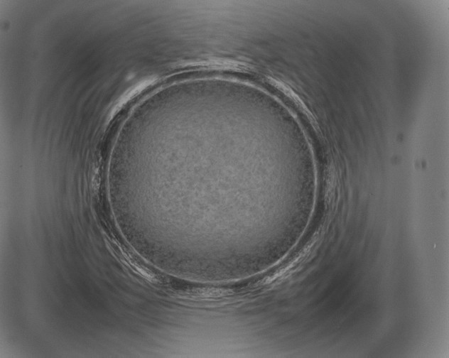 X0000085831163200703301612