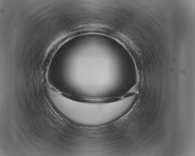 X0000085831164200703301612